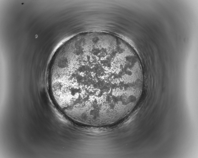 X0000087010987200704301414