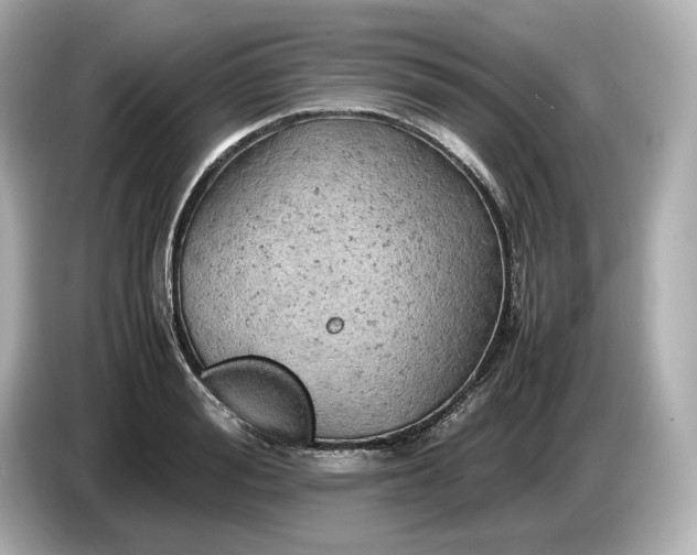 X0000087010988200704301414