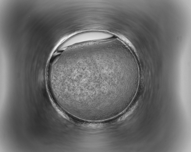 X0000087010989200704301414