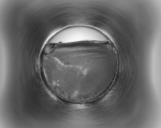 X0000087010990200704301414