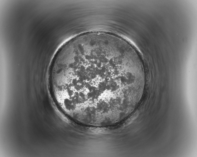 X0000087010991200704301414