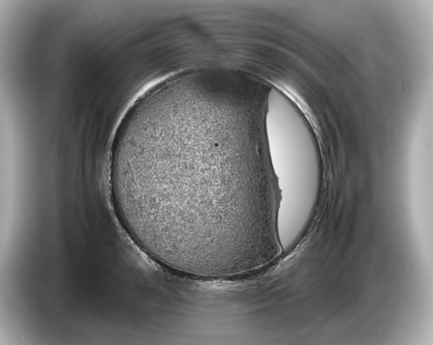 X0000087010992200704301414