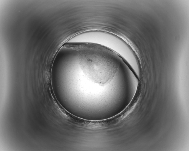 X0000087010993200704301414