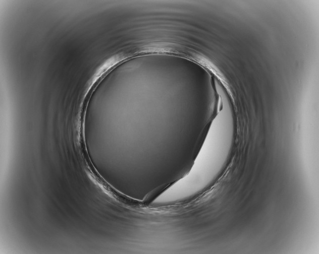 X0000087010994200704301414