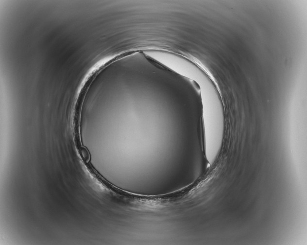 X0000087010995200704301414