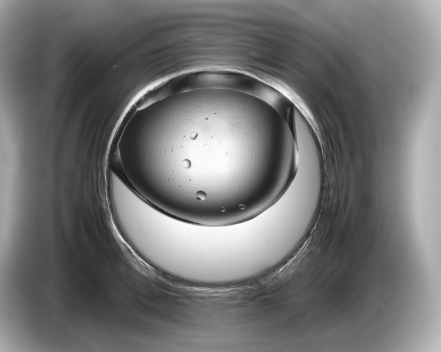 X0000087010996200704301414