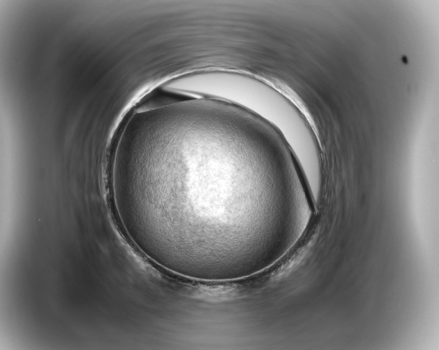 X0000087010997200704301414