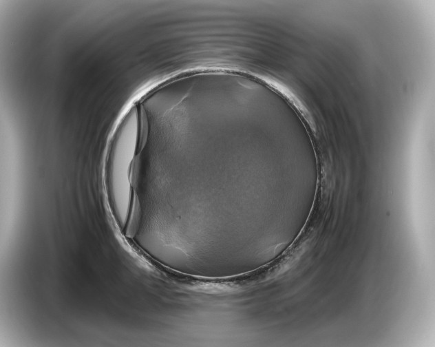 X0000087010998200704301414