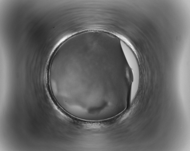 X0000087010999200704301414