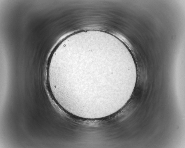 X0000087011000200704301414