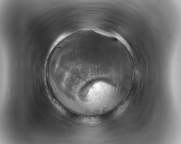 X0000087011002200704301414