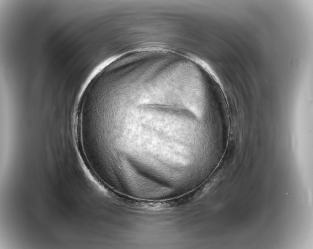 X0000087011003200704301414