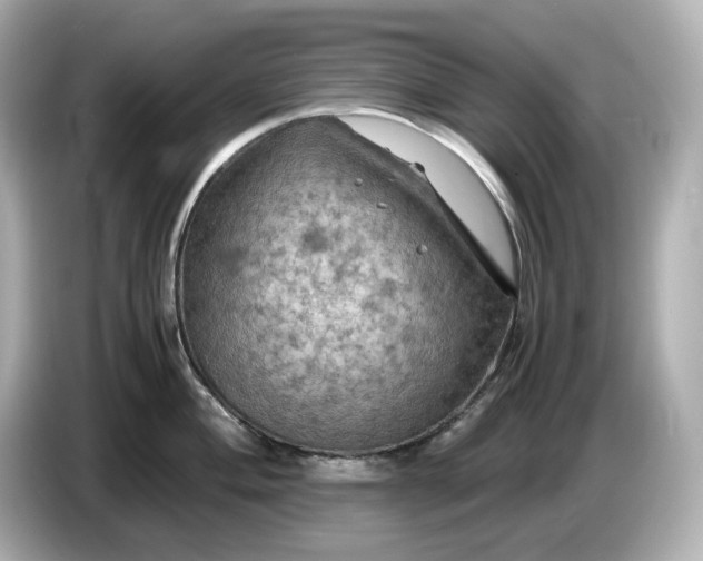 X0000087011004200704301414