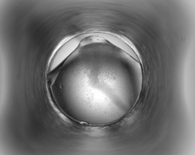 X0000087011005200704301414