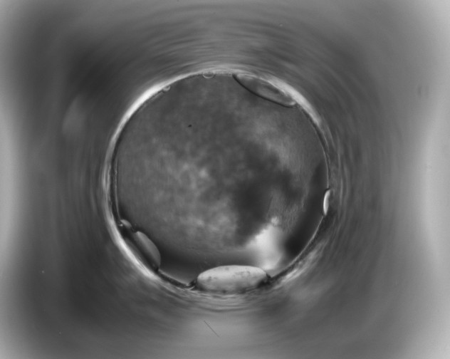 X0000087011007200704301414