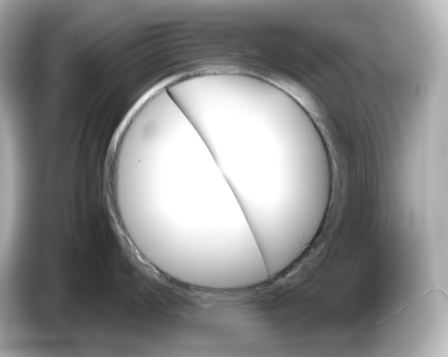 X0000087011008200704301414