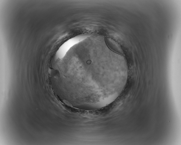 X0000087011009200704301413