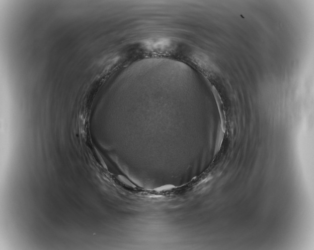 X0000087011010200704301413