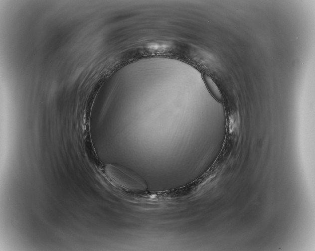 X0000087011011200704301413