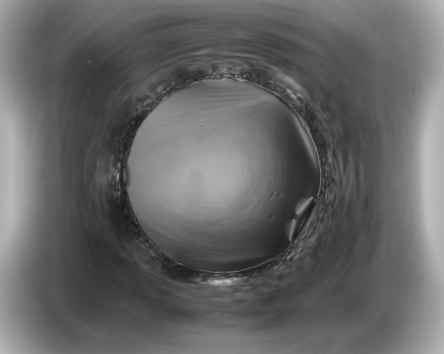 X0000087011013200704301413