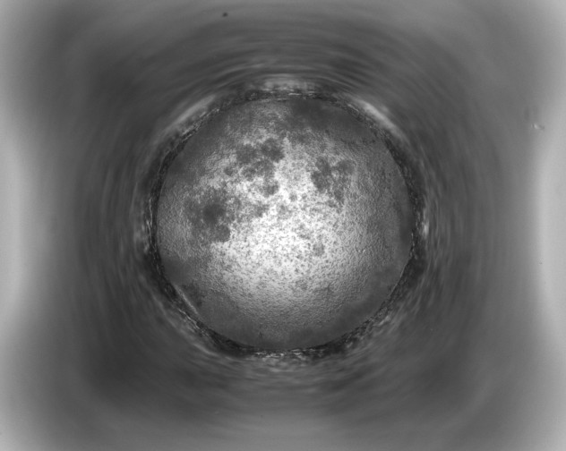 X0000087011015200704301413