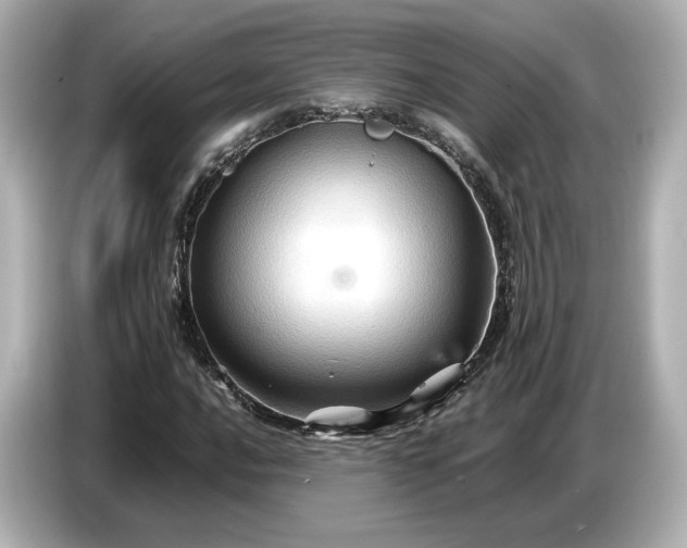 X0000087011016200704301413