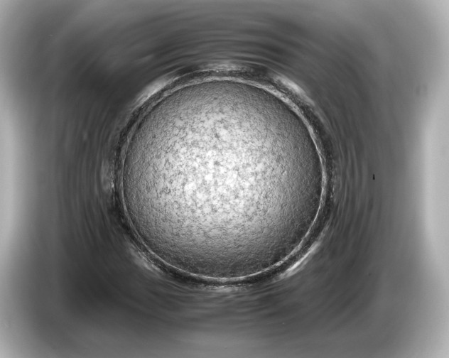 X0000087011017200704301413