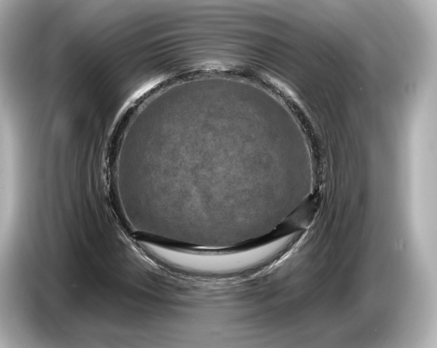 X0000087011018200704301413