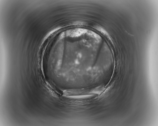 X0000087011019200704301413