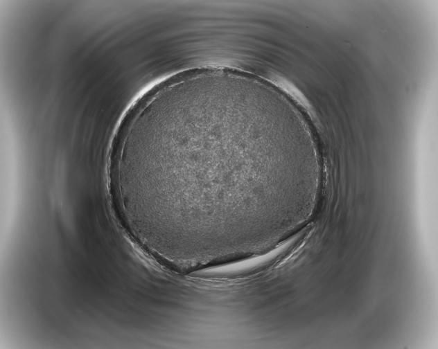 X0000087011020200704301413