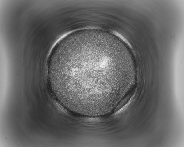 X0000087011021200704301413