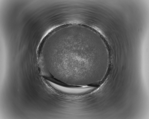 X0000087011022200704301413