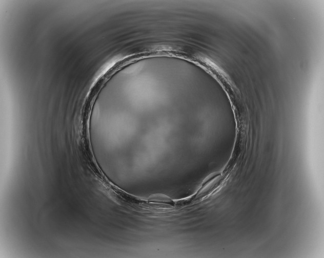 X0000087011023200704301413