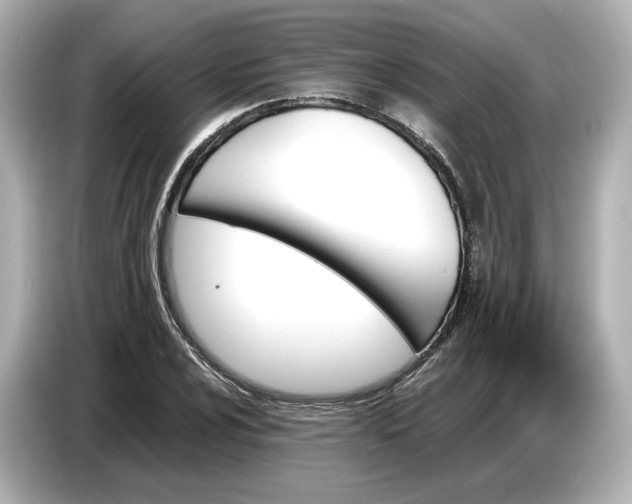 X0000087011024200704301413