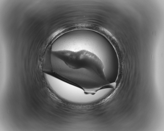 X0000087011025200704301413