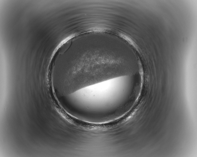 X0000087011026200704301413