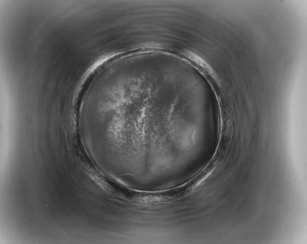 X0000087011027200704301413