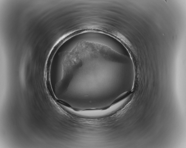 X0000087011028200704301413