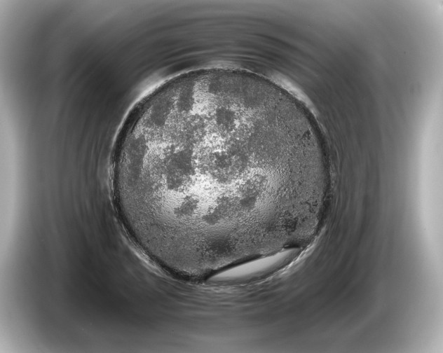 X0000087011029200704301413