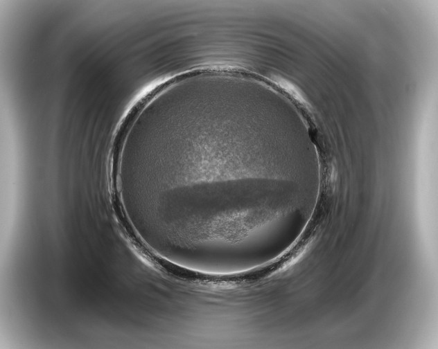 X0000087011030200704301413