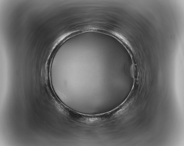 X0000087011031200704301413