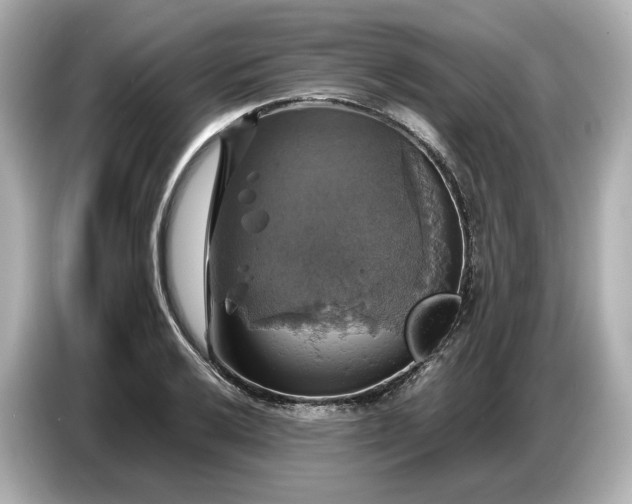 X0000087011032200704301413