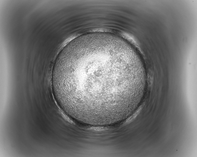 X0000087011033200704301413