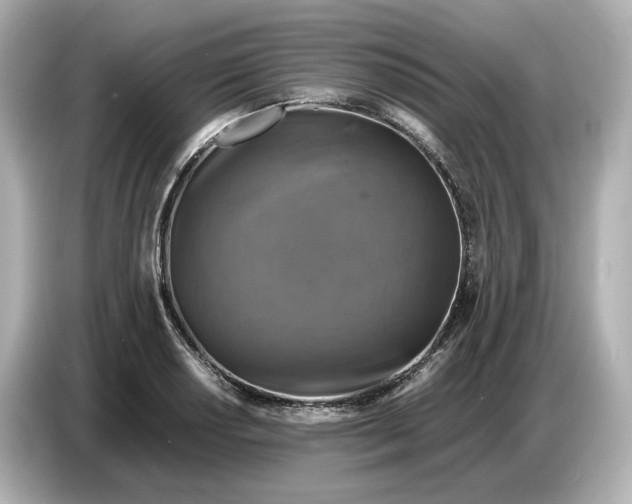 X0000087011034200704301413