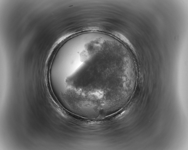 X0000087011035200704301413