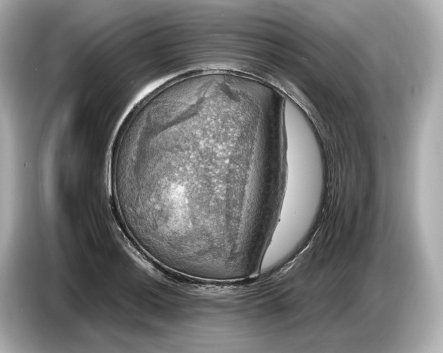 X0000087011036200704301413