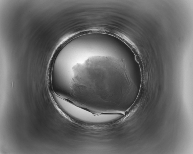 X0000087011037200704301414