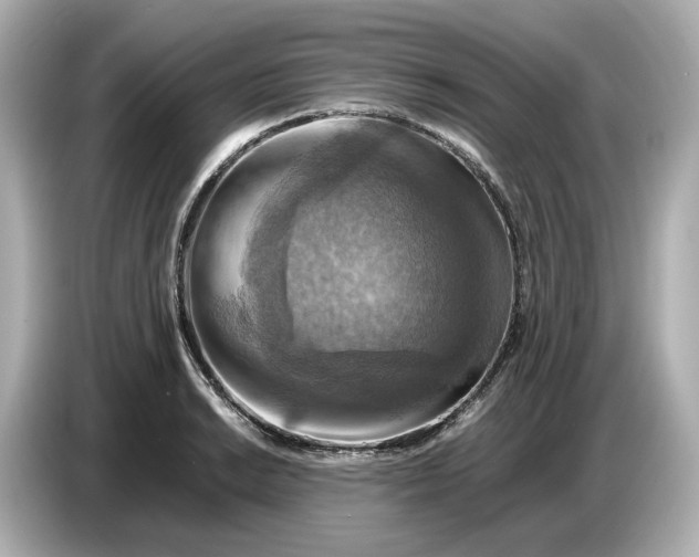 X0000087011038200704301414