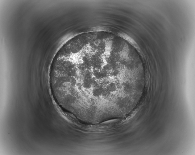 X0000087011039200704301414