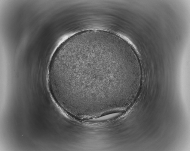 X0000087011040200704301414